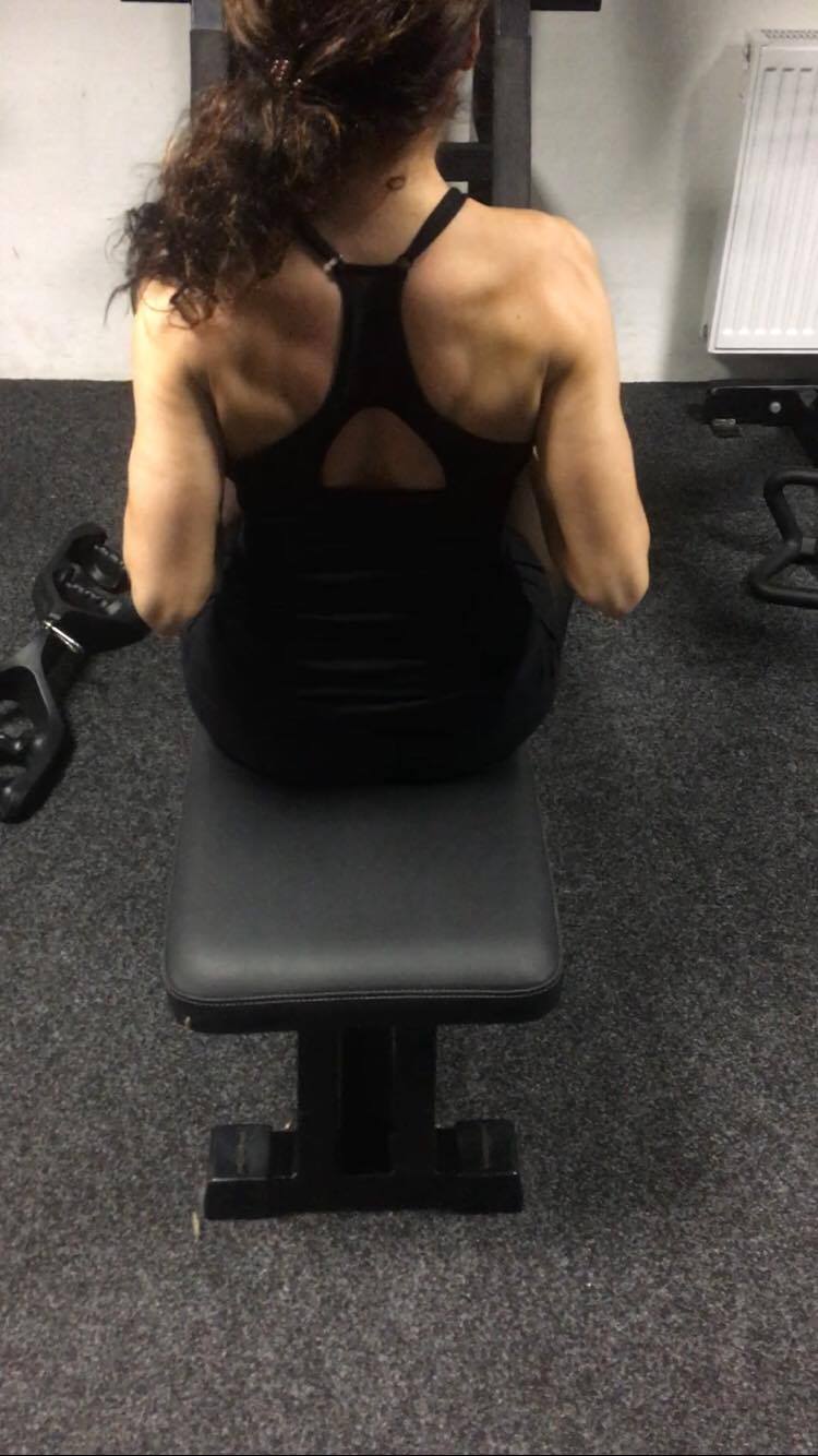 back workout by amy swart @gainsandoreos
