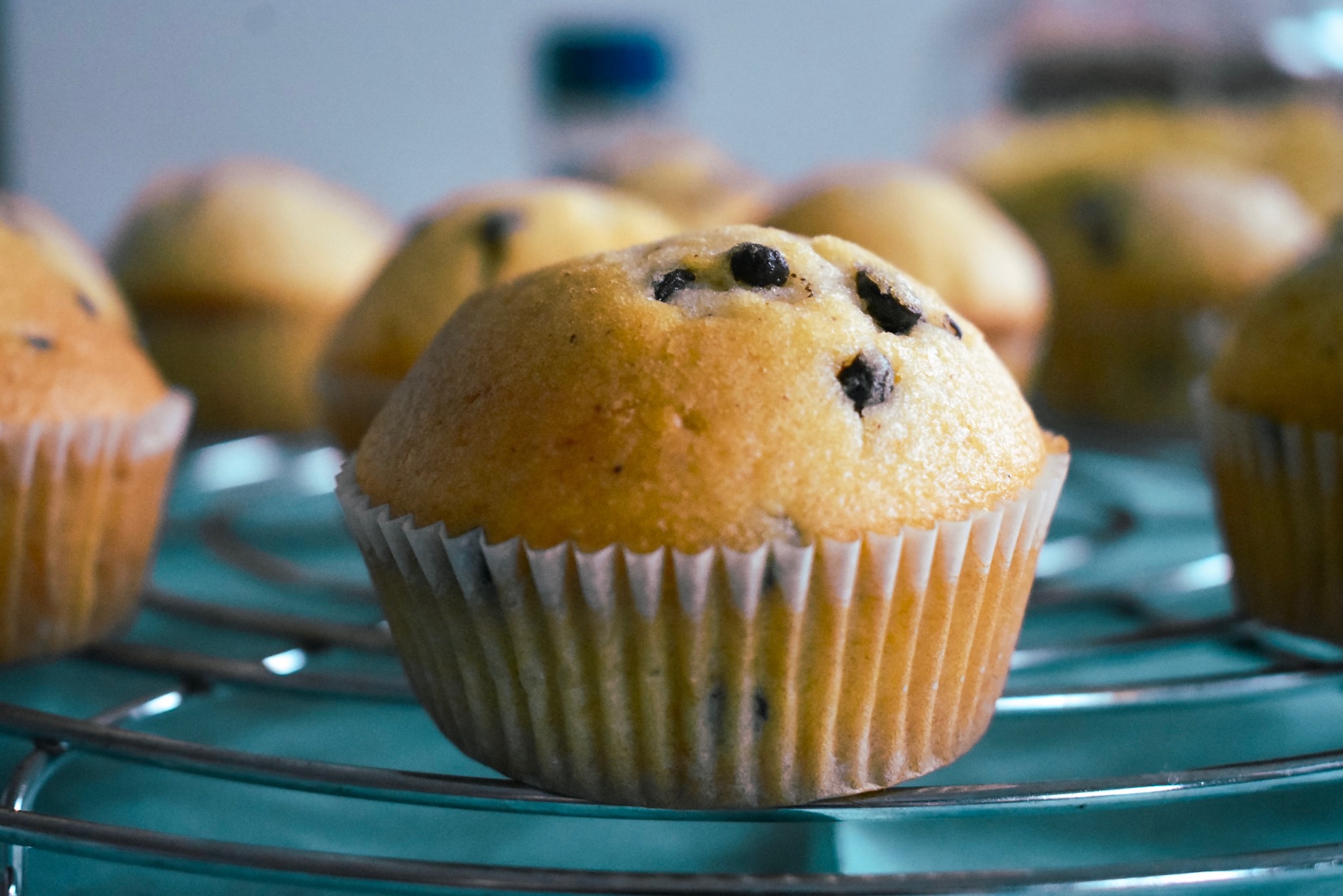 muffins, chocolade muffins, gezonde muffins, sinterklaas recept, gymjunkies, snacks