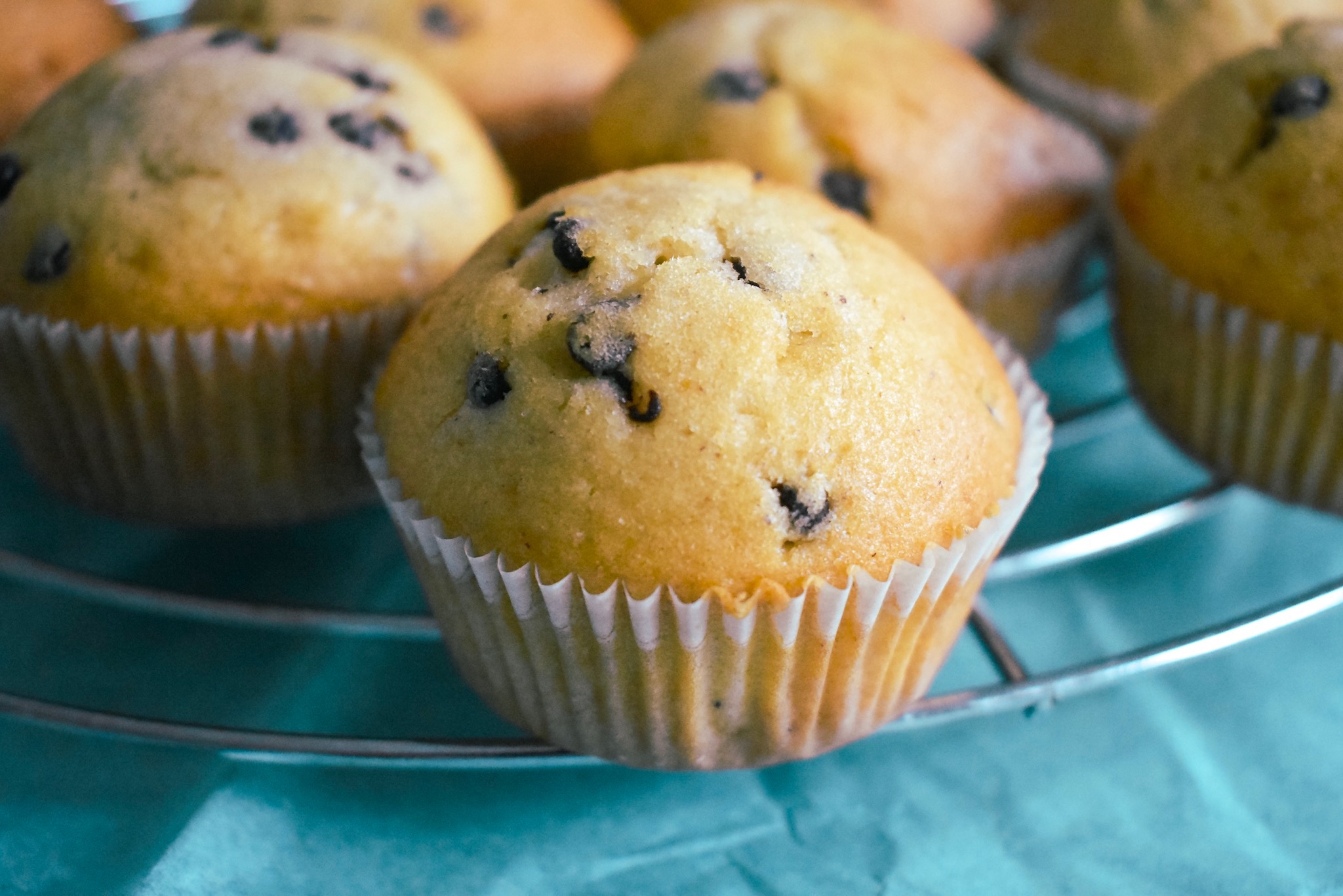muffins, chocolade muffins, gezonde muffins, sinterklaas recept, gymjunkies, snacks