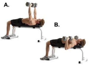 borst oefeningen, dumbbell press, borst trainen