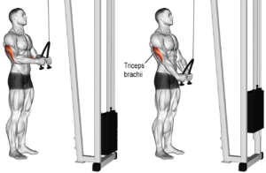 oefeningen triceps tricep push down